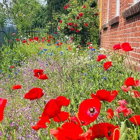 Cegielka Lejlighed Gąski