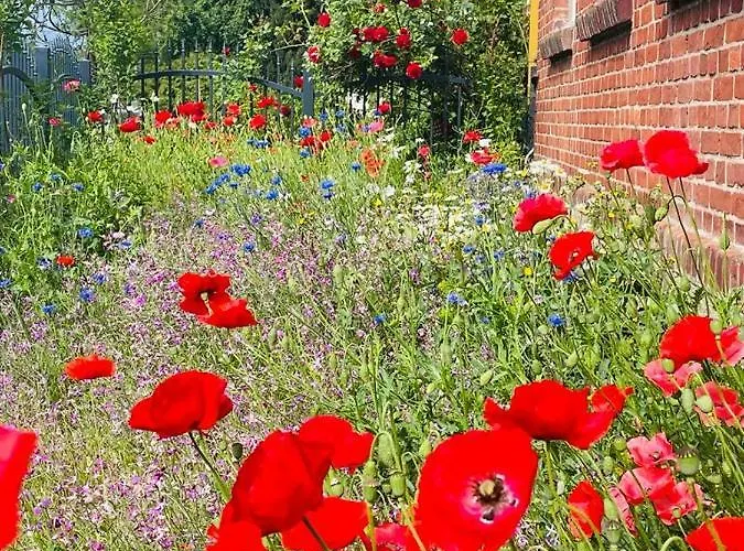 Cegielka Apartment Gaski (Koszalin)